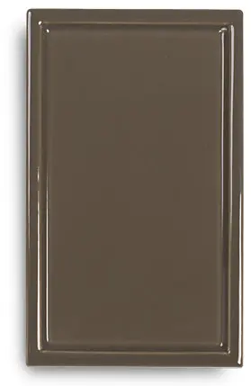P198 schlammgrau